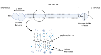 Structure of lubricin