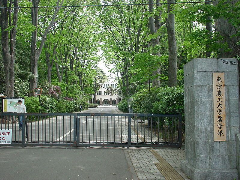 File:Tokyonoukouuniv.JPG