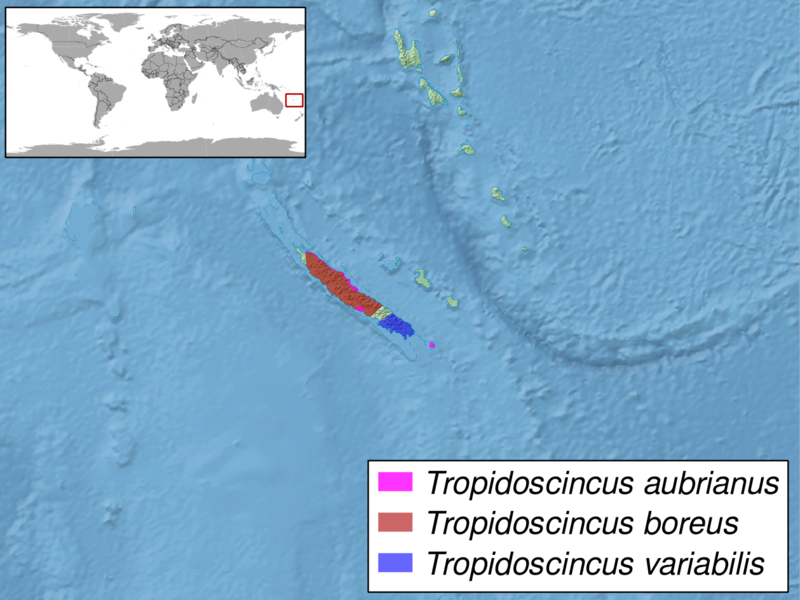 File:Tropidoscincus sp. distribution.png