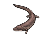 Trypanognathus remigiusbergensis