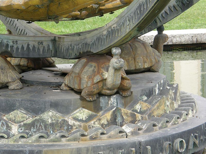 File:Turtles fragment P8260339.jpg