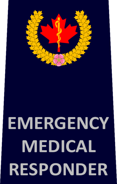 File:AHS EMR.png