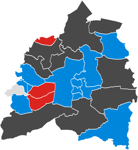 File:BassetlawResults2008.svg