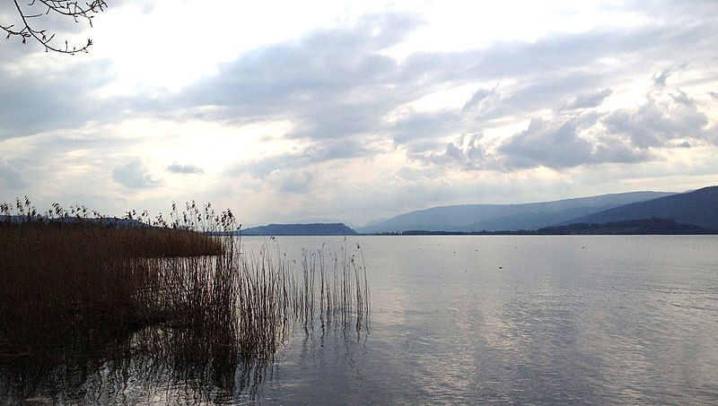 File:Bielersee bei Hagneckkanal.JPG