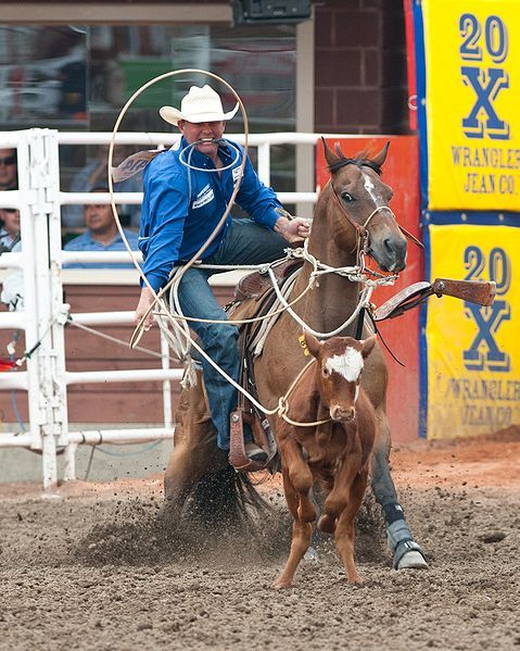 File:Calf Roping Szmurlo.jpg