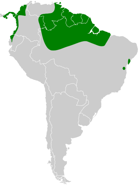 File:Chaetura spinicaudus map.svg