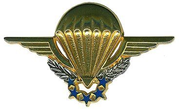 French Commando Parachute Group Brevet of Chuteur Opérationnel