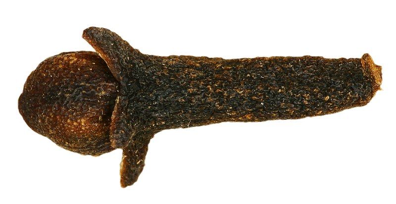 File:Clove.jpg