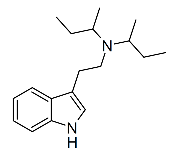 File:DSBT structure.png