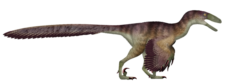 File:Deinonychus UDL.png