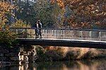 A footbridge in Forest Park