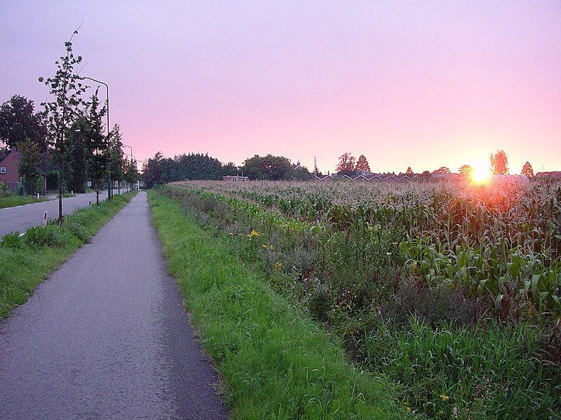 File:Hoogerheide 070806.jpg