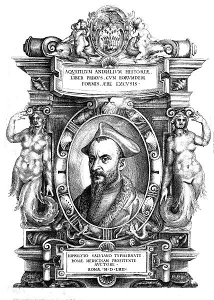 File:Ippolito Salviani 1514-1572.jpg