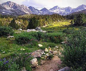 Little Lakes Valley in the John Muir Wilderness