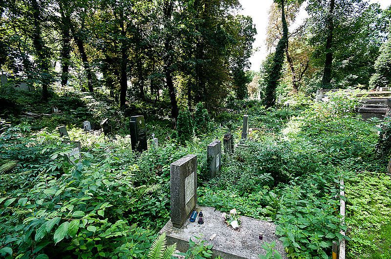 File:Lychakiv-Cemetery-in-Lviv7.jpg