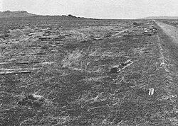 Looking east at the Matlin siding with the wye in the foreground, unknown date