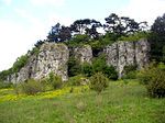 Medobory Nature Reserve