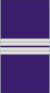 File:Mozambique-AirForce-OF-1b.svg