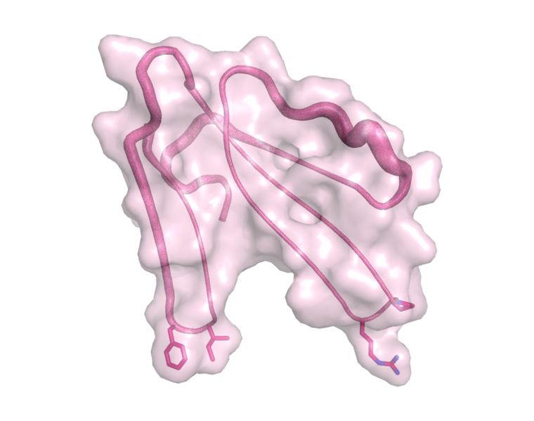 File:Muscarinic toxin1 4DO8.png