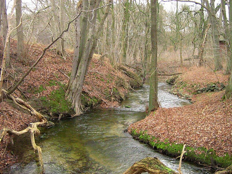 File:Nonne-bei-Foersterei-Zachow-17-XII-2007-08.jpg