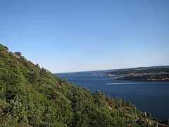 Hillside facing west at Odderøya