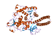 2de0: Crystal structure of human alpha 1,6-fucosyltransferase, FUT8