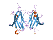 2jhw: CRYSTAL STRUCTURE OF RHOGDI E155A, E157A MUTANT