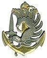 Current Beret badge worn by the Marine paratroops