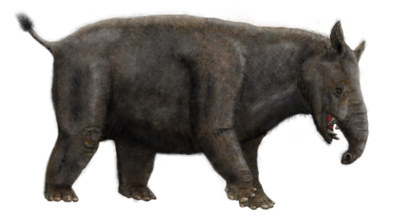 File:Parastrapotherium recosntruction.png