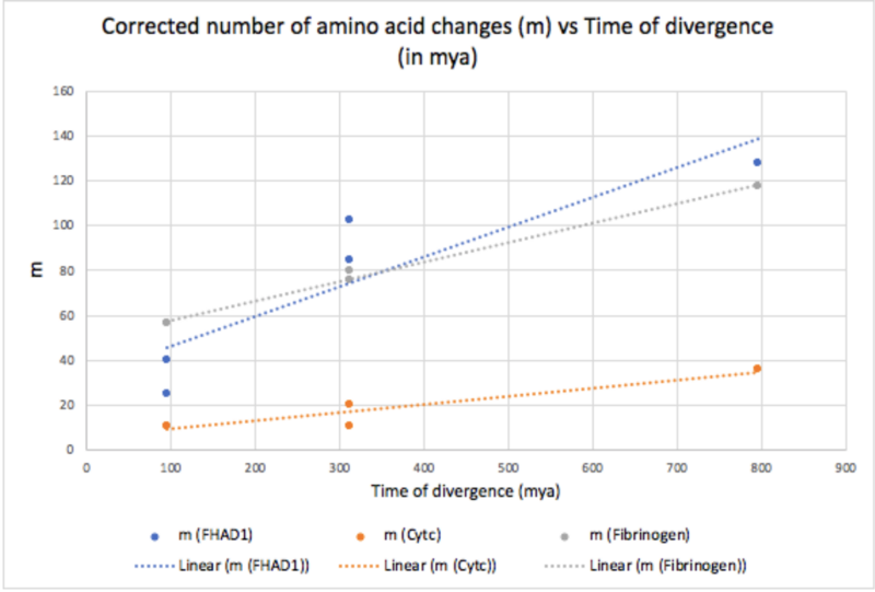 File:Rate of evolution.png