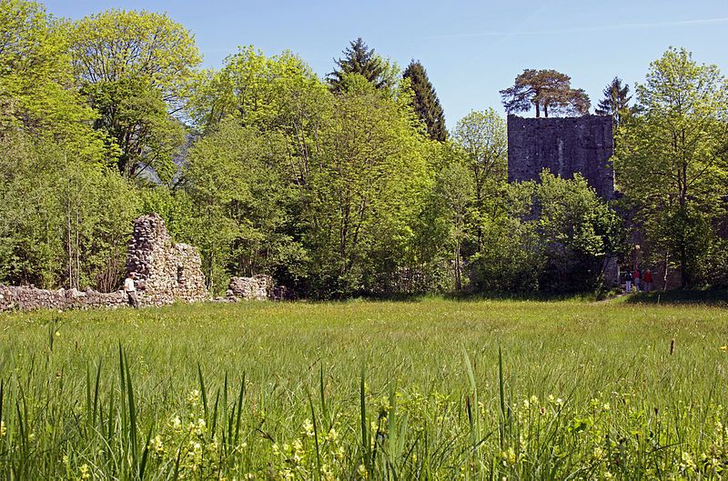 File:Ruine Weissenau06461.jpg