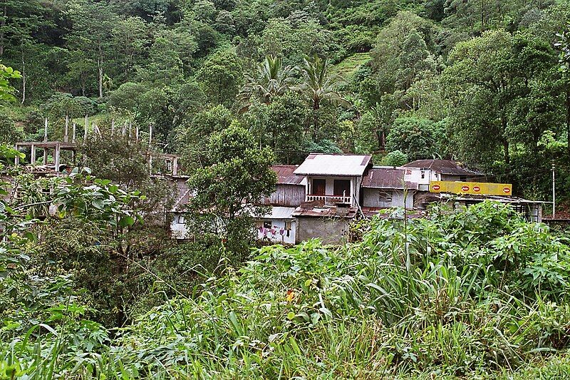 File:Sri Lanka-Tea plantation-05.jpg