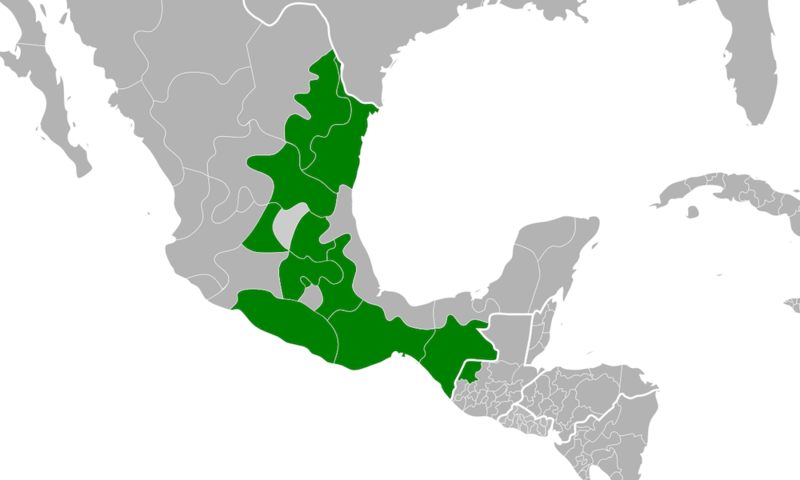 File:Symphyotrichum purpurascens distribution.png