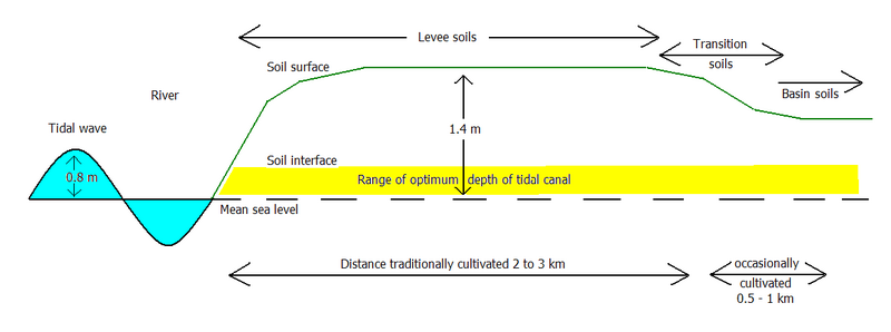 File:TidalCrossSection.png