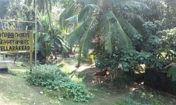 Vellarakkad Railway Station, Moodadi