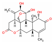 Ailanthone