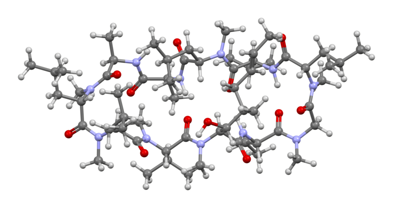 File:Ciclosporin-A-from-xtal-3D-bs-17.png