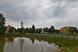 View from a pond in Czarnowo-Biki