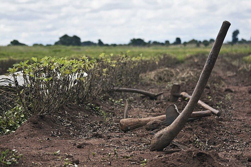 File:Farm tools, Malawi.jpg