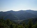 Opir river valley (view from the Zelemyanka ridge [uk]).