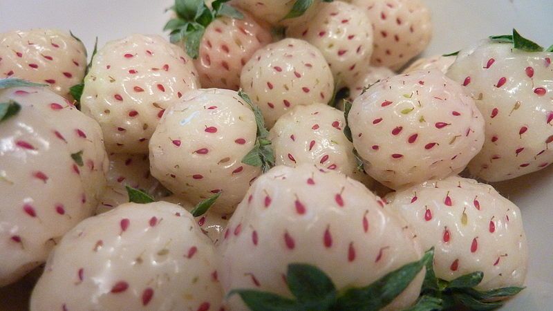 File:Pineberries.jpg