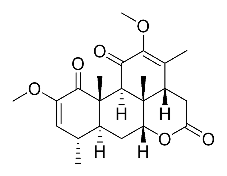 File:Quassin test ACS.png