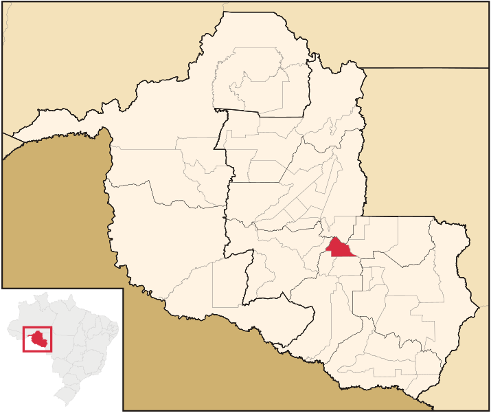 File:Rondonia Municip Castanheiras.svg