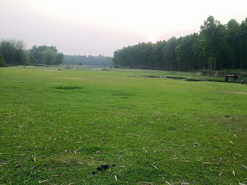 File:Sehara Field.jpg