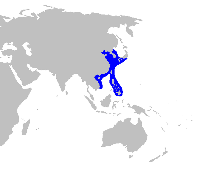 File:Squalus japonicus distmap.png