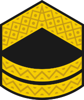 File:Ukraine-Navy-OR-8.svg