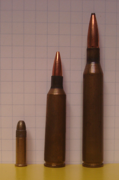 File:VarmintCartridges.png