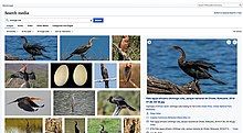 screenshot of wikimedia commons image gallery