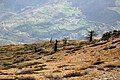 Mount Arfakuh, Mazandaran, Iran