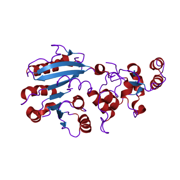 File:1g55 structure.png